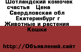Шотландский комочек счастья › Цена ­ 2 500 - Свердловская обл., Екатеринбург г. Животные и растения » Кошки   